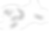 Dog - Illustration - 06.png
