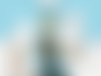 How Much to Share? The Art of Strategic Disclosure in Patent Applications