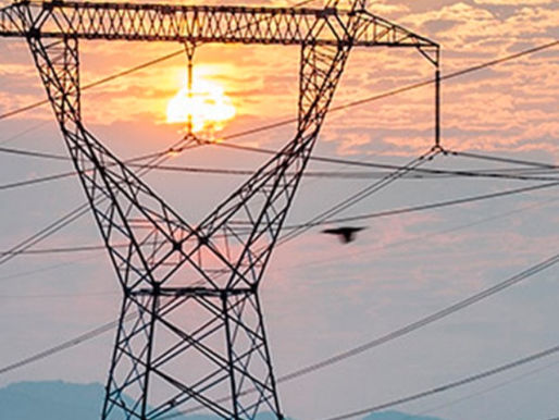 Los motivos del Lobo, que diga, de la BOA (11a. parte)