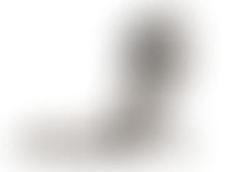 Los motivos del lobo, que diga, de la BOA (5a. parte)