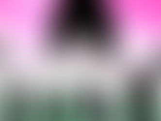 Crónicas Electorales (1a. parte) Los dimes y dislates en el INE (una absurda lucha de intereses)