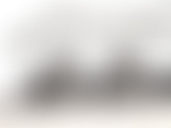 Los motivos del lobo, que diga, de la BOA (7a. parte)