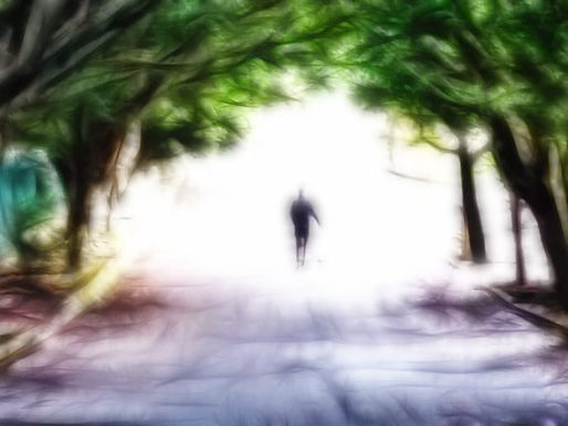 La proporcionalidad de las realidades