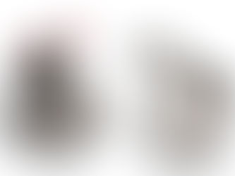 Los motivos del lobo, que diga, de la BOA (8a. parte)