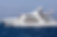Motor Yacht