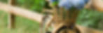 Bike.JPG