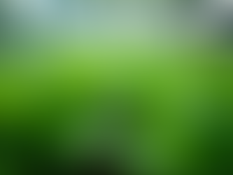 Master Aquaponics with Online Workshops: aquaponics learning online