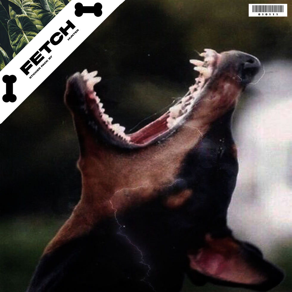 "FETCH" Sticker Pack