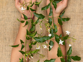 Naturopathie