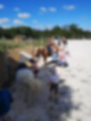 Découverte des poneys par les enfants