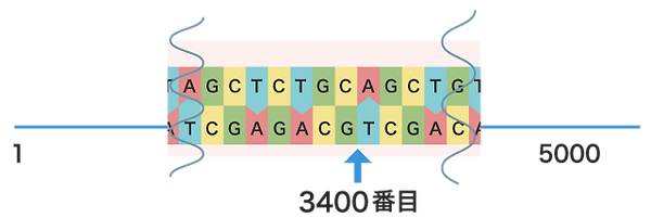 遺伝とがんについて知ろう