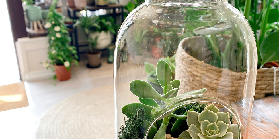 How to make a: Terrarium Workshop