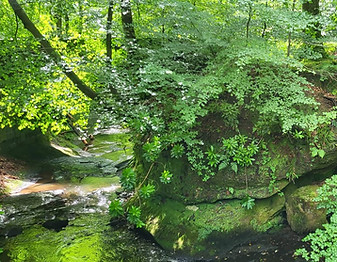 Sandrocks Fall near little oakhurst. Green folliage and rocks around stream
