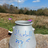 bluebell.jpg
