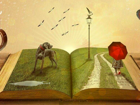 Wat de zorg kan leren van… Deel 12: De Bieb