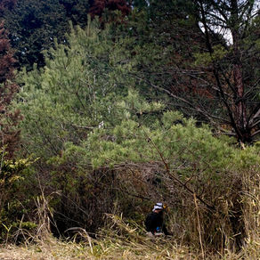 蛍光ピンクのマーキングに導かれ