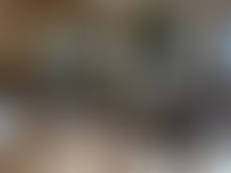 sogaform experience を終える