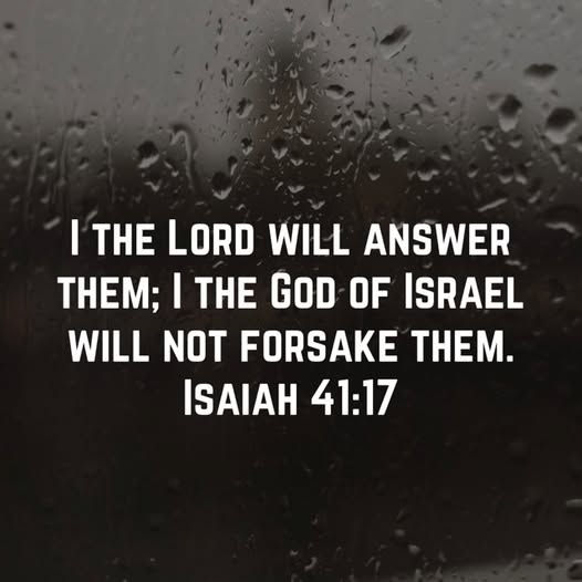 Not Forsaken