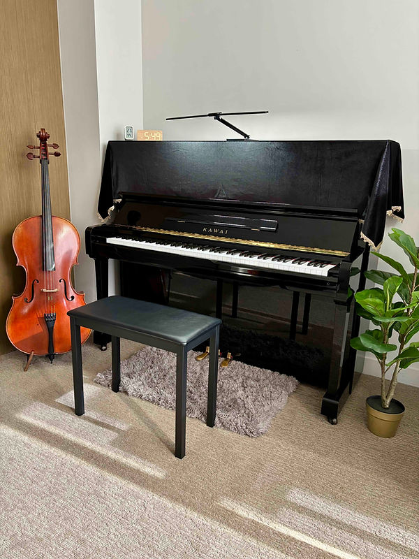 Carrie's Home Studio.jpg