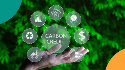 Unlocking Carbon Credits: What Data Farmers Need to Track and How We Can Help
