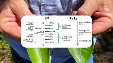 How to Achieve Zero Excess Free Nitrates and Ammonium in Plant Sap Analysis