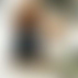 🐾 How to Include Your Pets in Your Wedding Ceremony