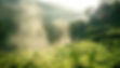 DJI_0939 (2).jpg