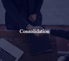 55e56a_23515ee1ebad4cc4924c6f862869dba1~