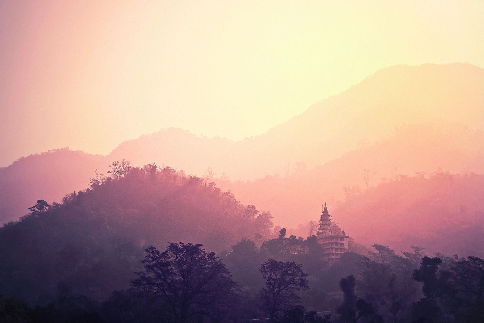 backlit-dawn-daylight-257092.jpg
