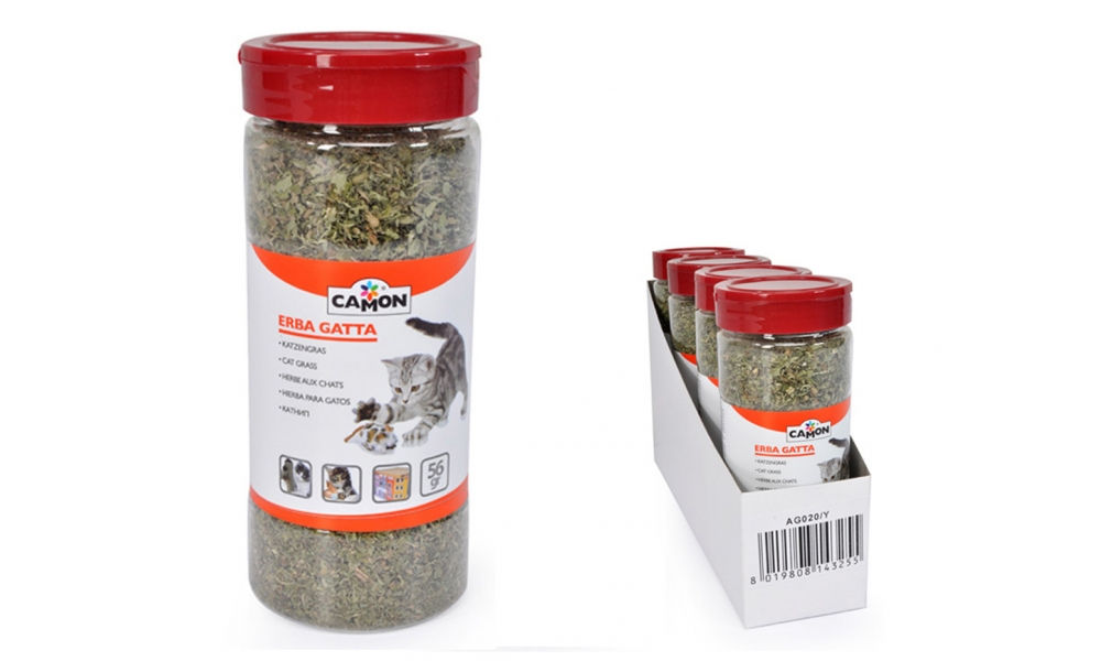 Erva para Gatos