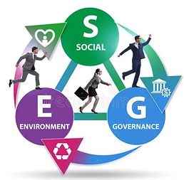 ESG graphic.JPG