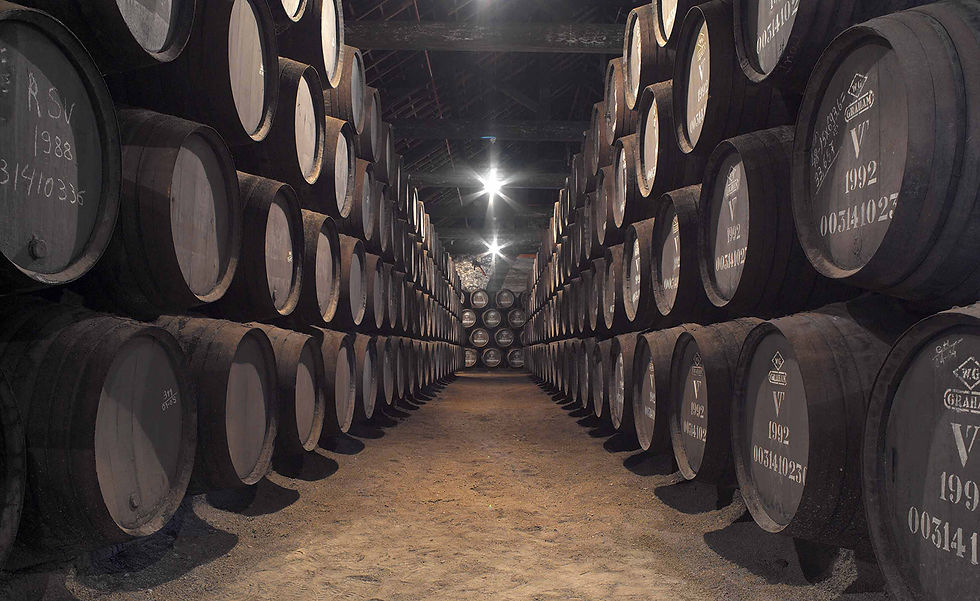 Bodega de O Porto