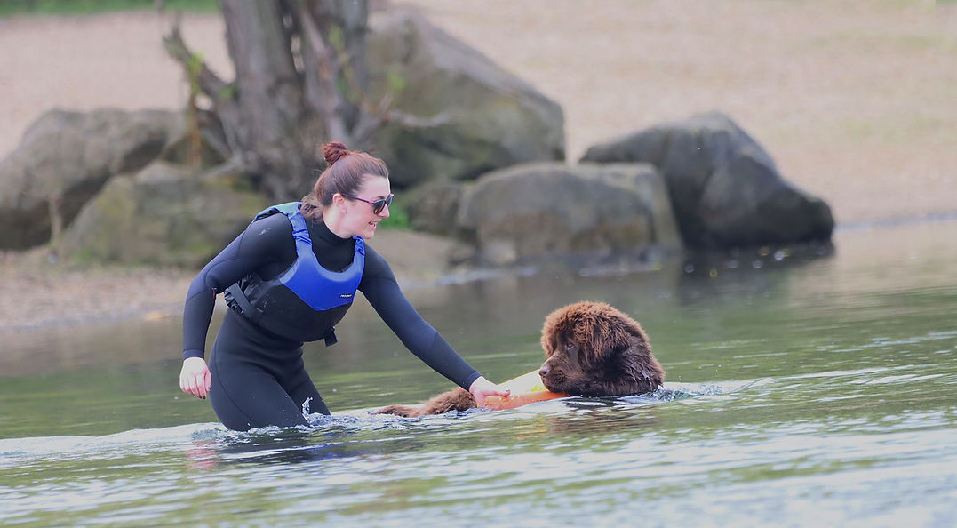 Lady & Newfoundland