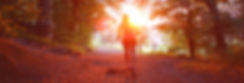 Running sunset.jpg