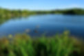AdobeStock_155555630.jpeg