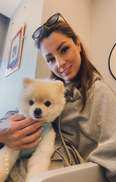 İstanbul'da köpek eğitimi