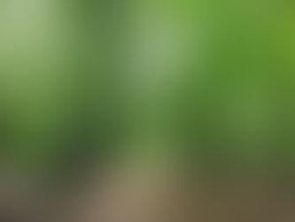 The Hour Before the World Wakes Up.