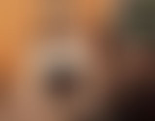 電気暖炉のご紹介|英国の家具なら鎌倉アンティークス