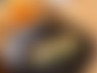 Barra de sushi de OMM en Bogotá: guía para amantes del sushi