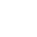 BTC White.png