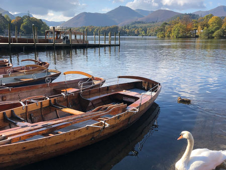 Rowing boats on the lake