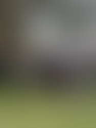 Group Photo of some participants of the Water Partners Kerang Golf Club Par 3 Championships