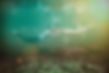 240959750_385241556497458_3474522845124022289_n.jpeg