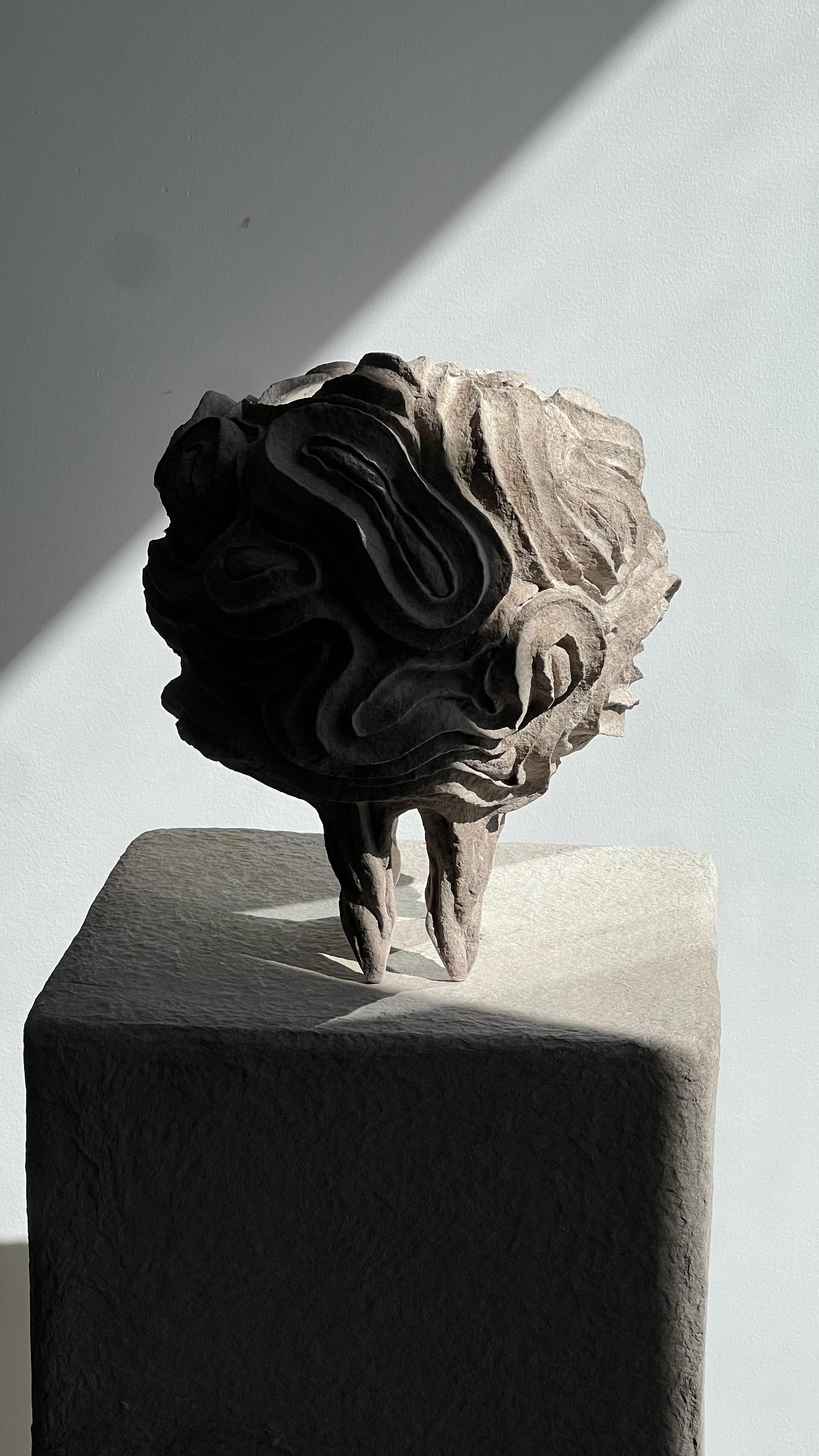 Fossils of Thought-I