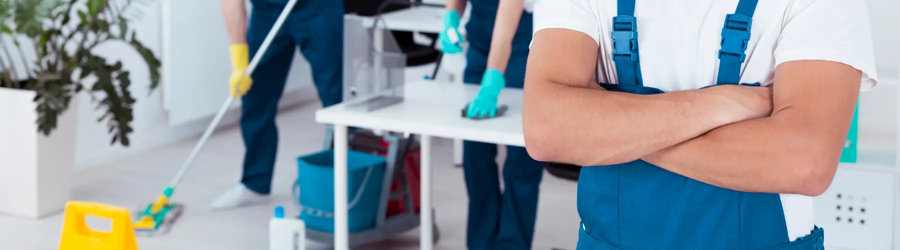 Professional cleaning.webp