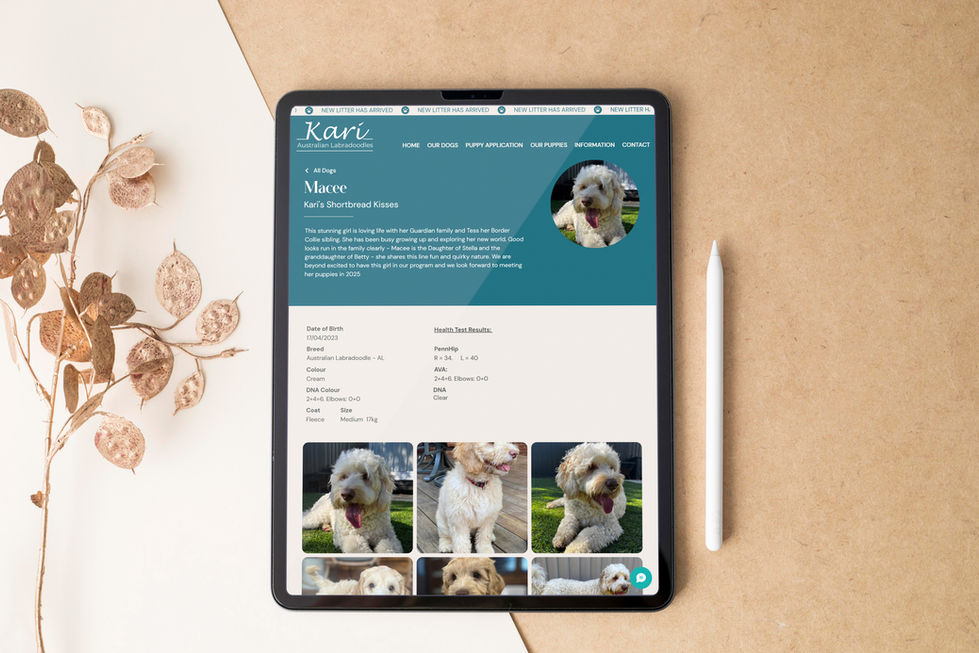 Wix Website Redesign for Kari Australian Labradoodles