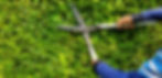 AdobeStock_383741617.jpeg