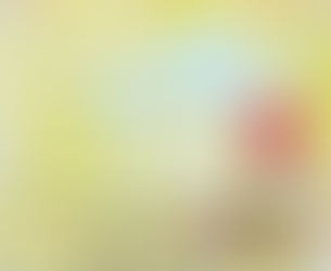 Brasilia in a Nutshell