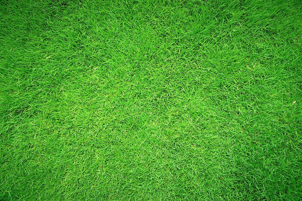 AdobeStock_341601865.jpeg