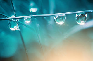 iStock-1316481330.jpg